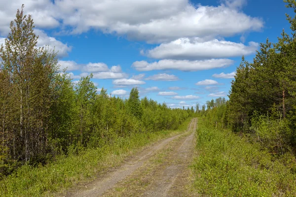 Route au sol et journée ensoleillée d'été — Photo