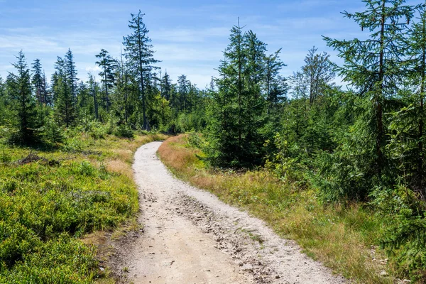 Sendero Senderismo Las Montañas Beskid Polonia Cerca Krynica Zdroj Paisaje — Foto de Stock