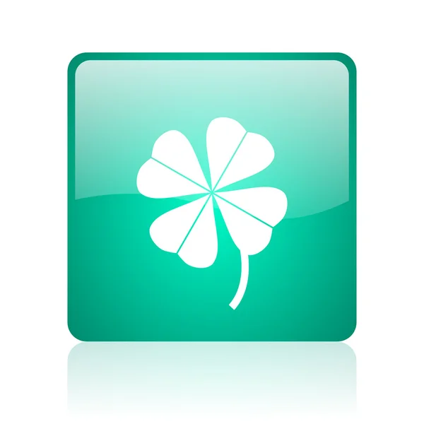 Four-leaf clover internet icon — Stock Photo, Image