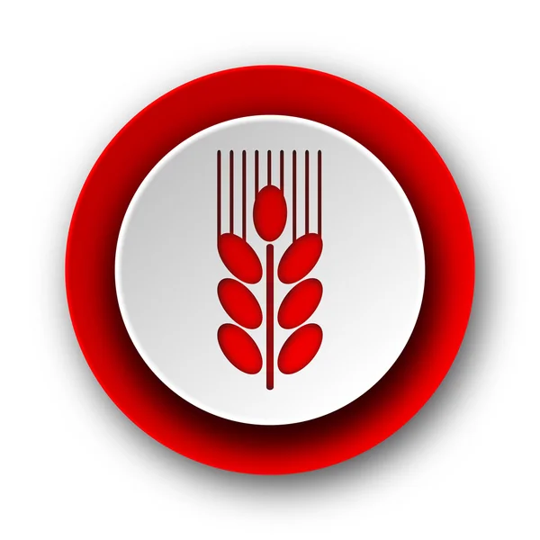 Grain red modern web icon on white background — Stock Photo, Image