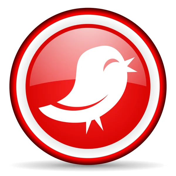 Twitter web-pictogram — Stockfoto