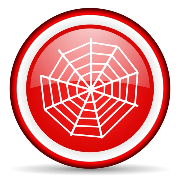 Spider web web icon — Stock Photo, Image