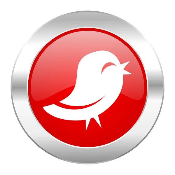 Czerwone kółko chrome web ikonę na białym tle Twitter — Zdjęcie stockowe