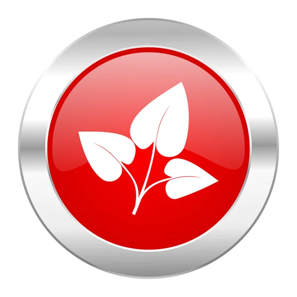 Foglia cerchio rosso cromo icona web isolato — Foto Stock
