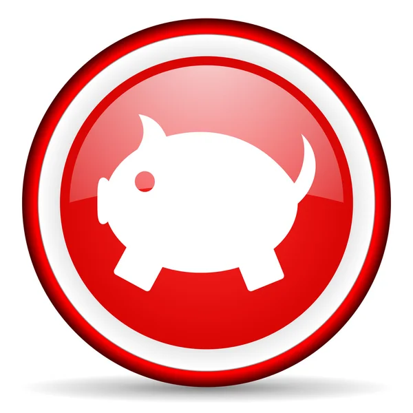 Piggy bank web icon — Stock Photo, Image