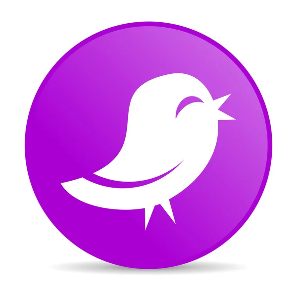 Icona web twitter — Foto Stock