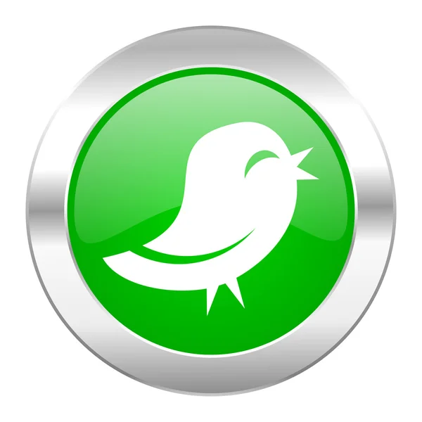 Twitter groene cirkel chrome web-icoon geïsoleerd — Stockfoto