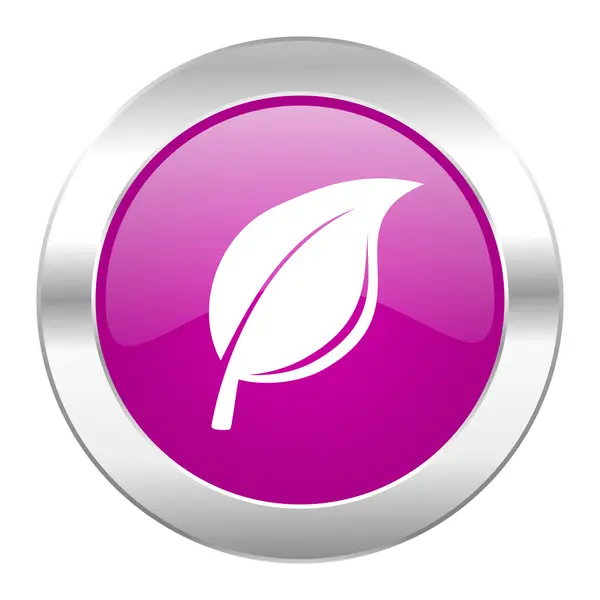 Příroda fialový kruh ikonu chrome web, samostatný — Stock fotografie