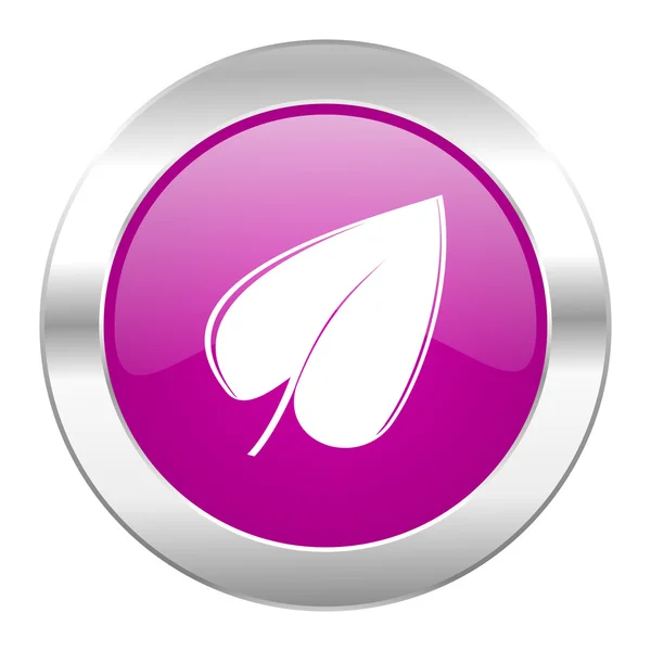 Hoja círculo violeta cromo web icono aislado —  Fotos de Stock