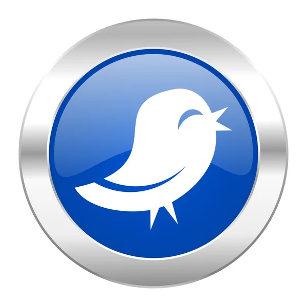 Twitter blauwe cirkel chrome web-icoon geïsoleerd — Stockfoto