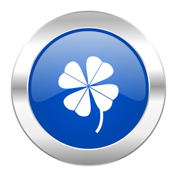 Čtyři - leaf clover modrý kruh chrome web ikona izolované — Stock fotografie