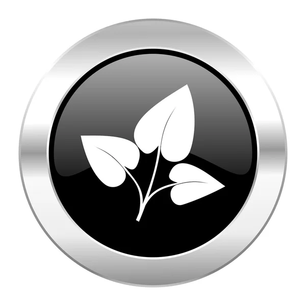 Ikona chrom błyszczący czarny okrąg liść na białym tle — Zdjęcie stockowe