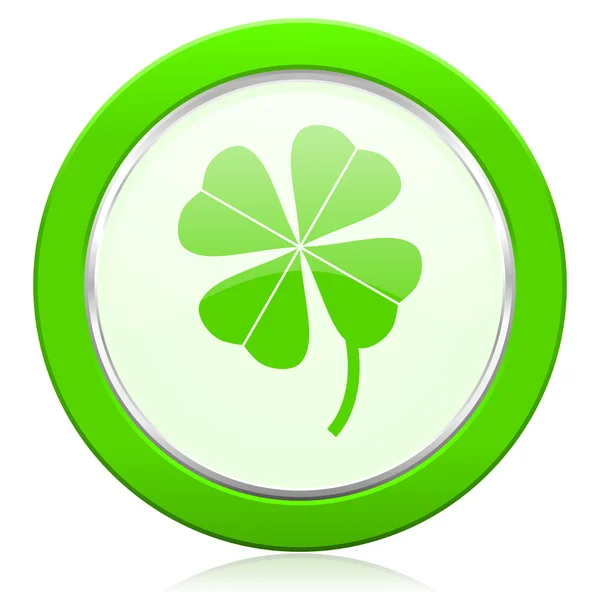 Four-leaf clover icon — Stock Photo, Image