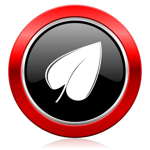 Nature icon leaf symbol — Stock Photo, Image