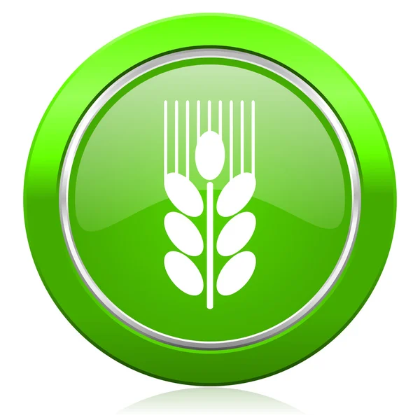 Grain icon agriculture sign — Stock Photo, Image