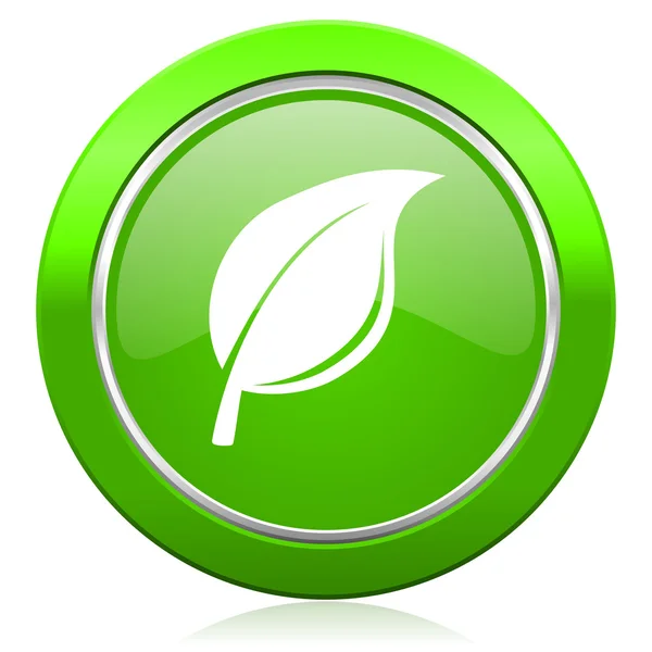 Nature icon leaf sign — Stock Photo, Image