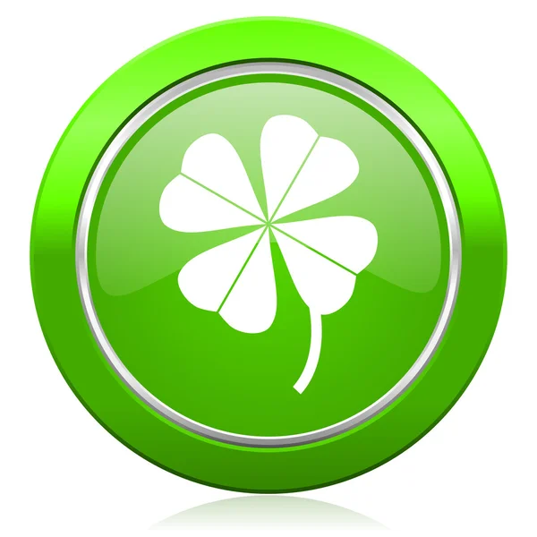 Four-leaf clover icon — Stock Photo, Image