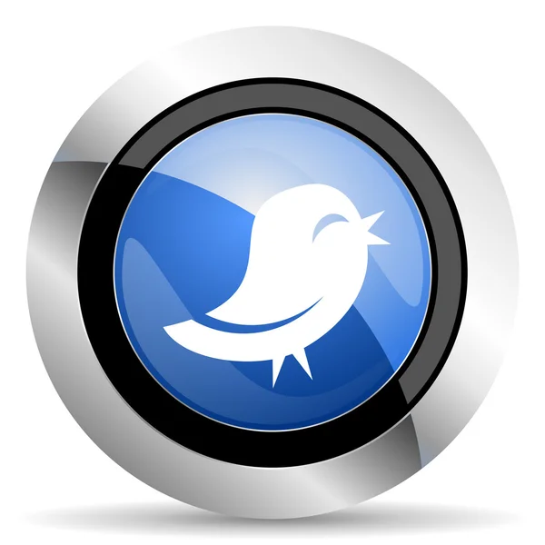 Twitter ikon — Stock Fotó