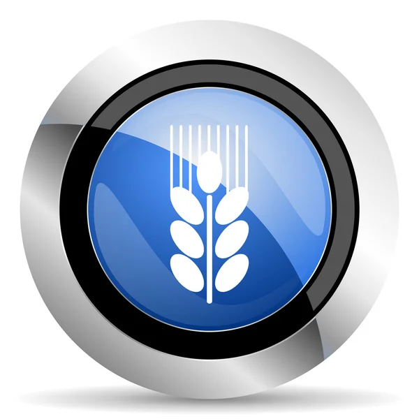 Graan pictogram landbouw teken — Stockfoto