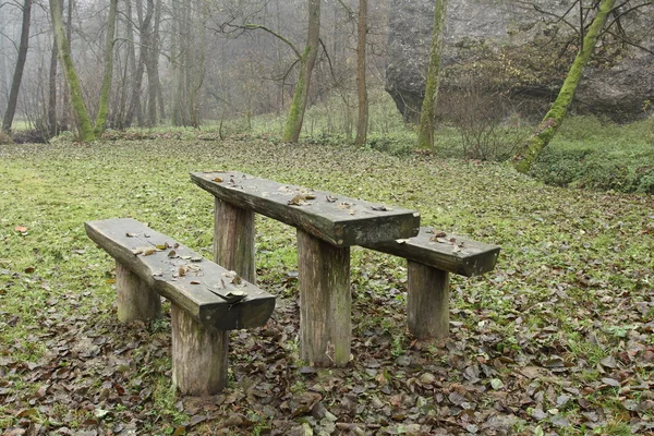 Bulutlu gün parkta sonbahar — Stok fotoğraf