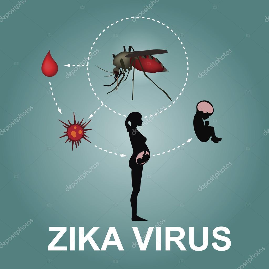 Zika virus sign, vector illustration