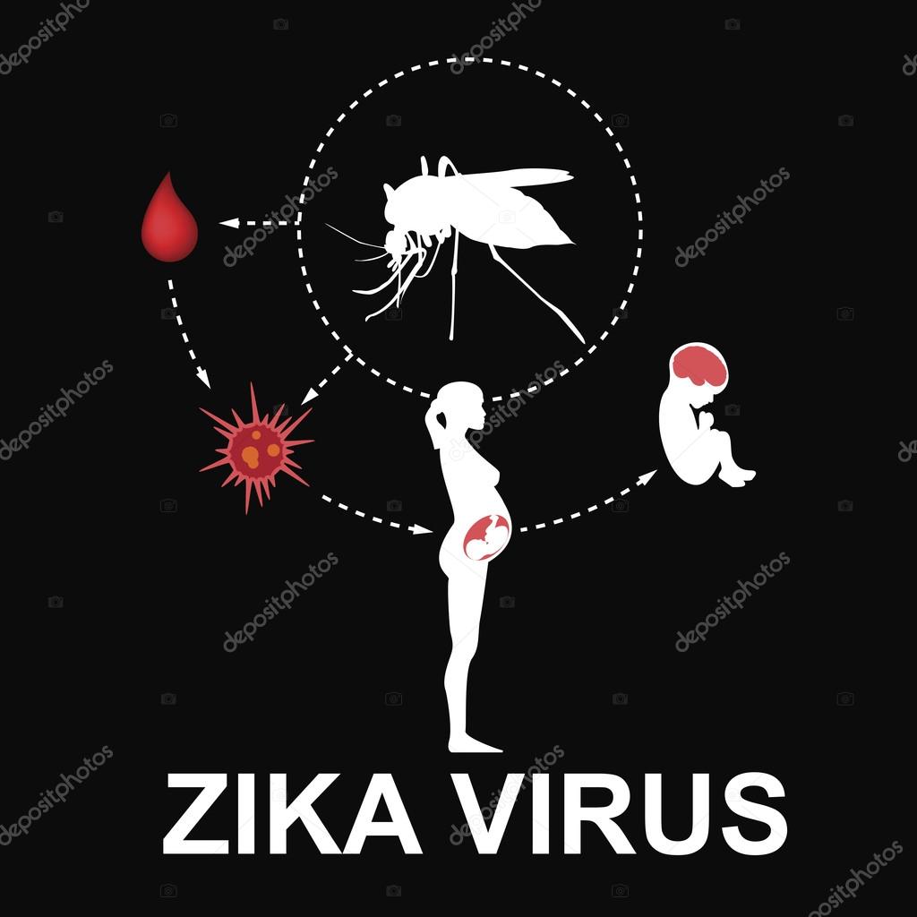 Zika virus sign, vector illustration