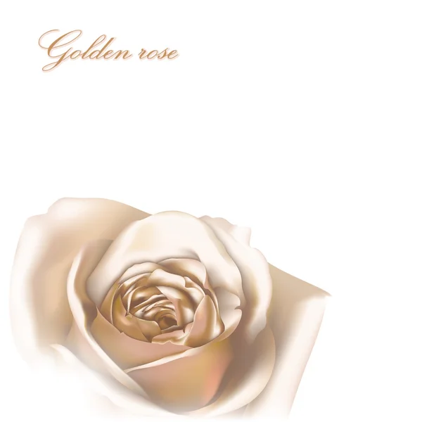 Grußkarte mit goldener Rose — Stockvektor