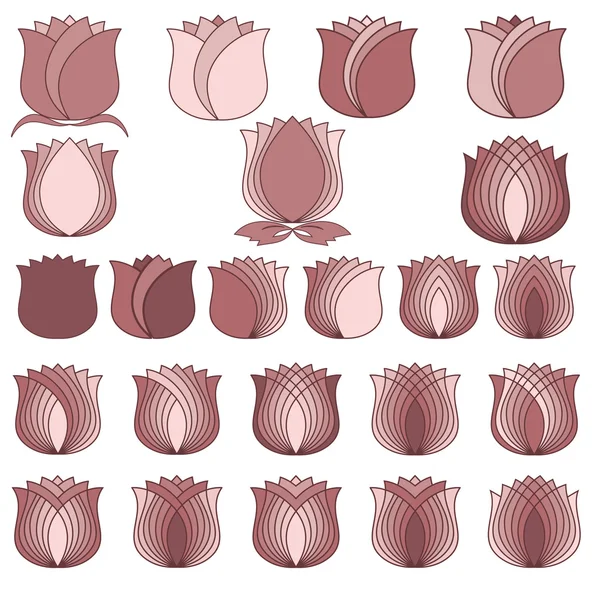 Rosa tulipanes, Flores símbolos Set — Archivo Imágenes Vectoriales