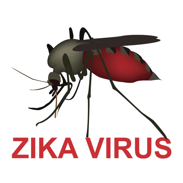 Zika virus znamení — Stockový vektor