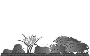 Bush kayalar ve çiçekler