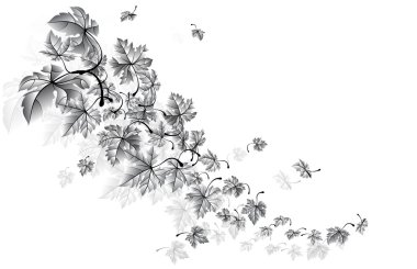 Düşen sonbahar Rüzgar yaprakları