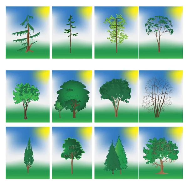 Ensemble de différents arbres — Image vectorielle