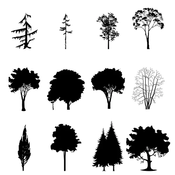 Conjunto de árvores diferentes —  Vetores de Stock