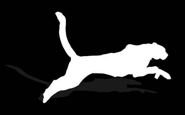 Animales salvajes - puma — Vector de stock