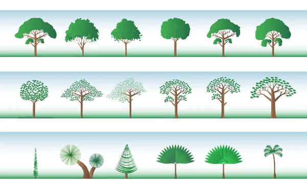 Набор различных деревьев, пальм, сосен — стоковый вектор