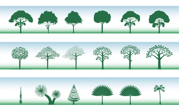 Set van verschillende bomen, palmen, dennen — Stockvector