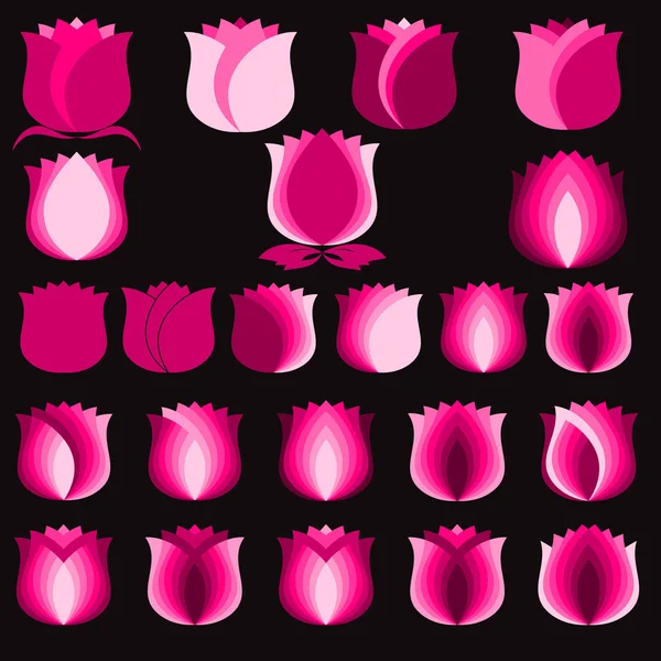 Rosa tulipanes, Flores símbolos Set — Archivo Imágenes Vectoriales