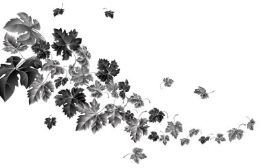 sonbahar Rüzgar yaprakları düşüyor