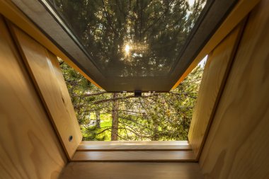 güzel doğa manzarası