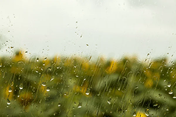 Проливные капли дождя на окно — стоковое фото