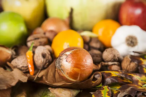 Mistura de alimentos de outono — Fotografia de Stock