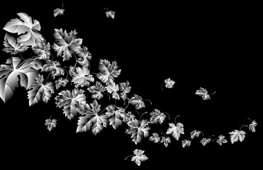 sonbahar Rüzgar yaprakları düşüyor