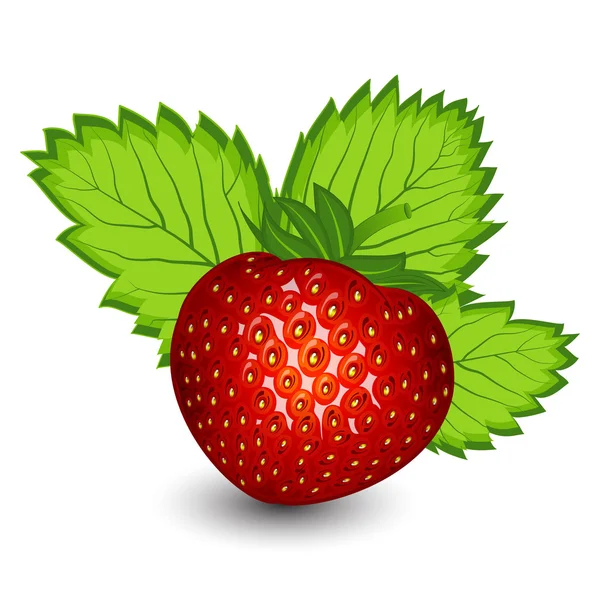 Ώριμα φράουλα με φύλλα — Διανυσματικό Αρχείο
