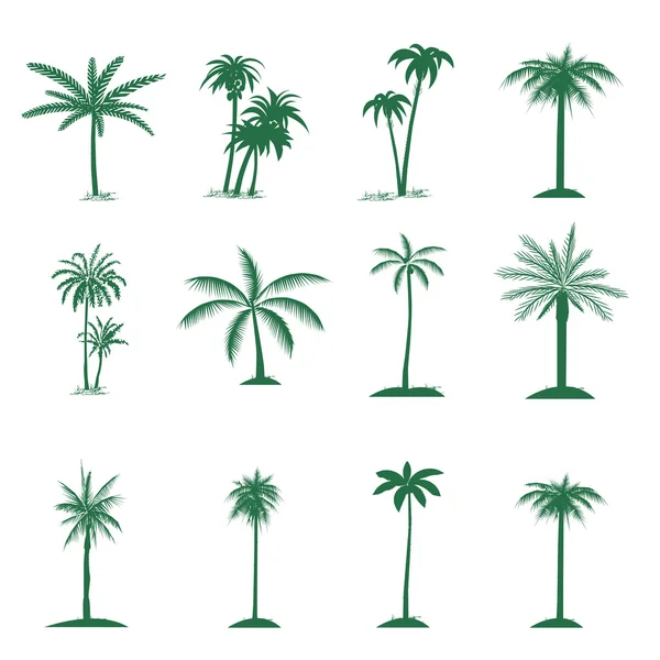 palmiye ağacı seti