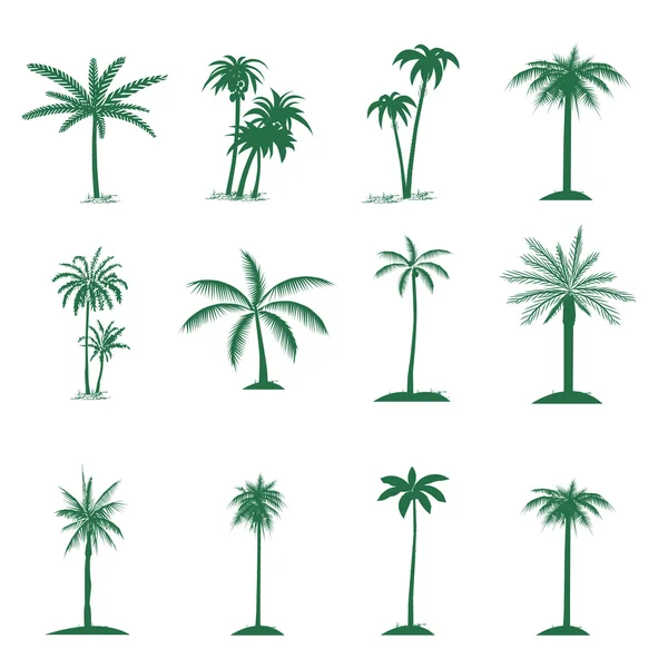 stock vector set of palm tree