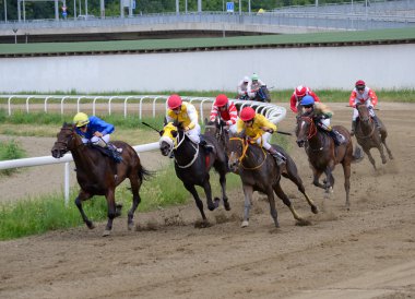 Unidentified horses and jockeys galloping in race at the Belgrade Hippodrome on Jun 19, 2016 in Belgrade, Serbia clipart