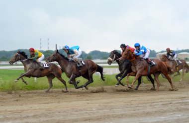 Tanımlanamayan atlar ve yarış Belgrad Hipodrom, Belgrad, Sırbistan ' 19 Haziran 2016 üzerinde dörtnala jockeys