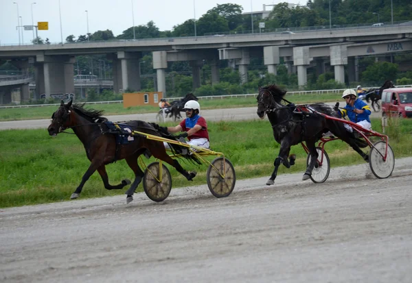 Trotting Races at the Belgrade Hippodrome on Jun 19, 2016 in Belgrade, Serbia — Stock Photo, Image