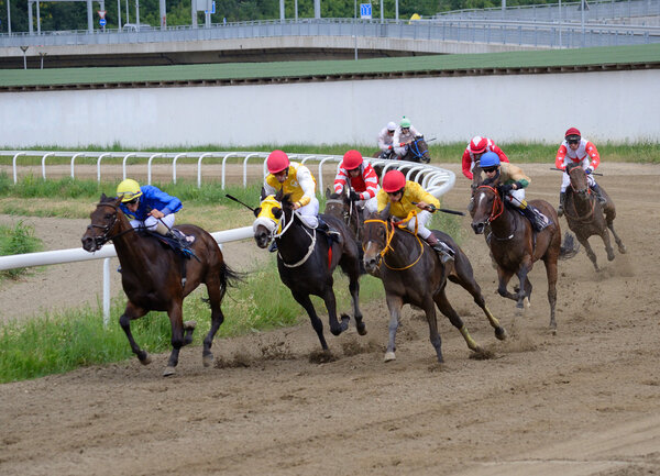 Неопознанные лошади и жокеи скачут на ипподроме в Белграде 19 июня 2016 года в Белграде, Сербия
