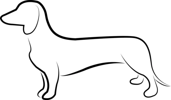 Dachshund Dog Line Art Vector — Stock Vector